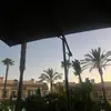 jasmine helm 23 - @jasmine.helm.23 - TikTok