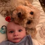 Jasmine Howe - @jazzhowe - Instagram