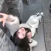jasminehowe222 - @jasminehowe222 - TikTok