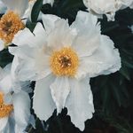 Jasmine Keeney - @jasmine_keeney - Instagram