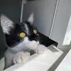 Jasmine Kent - @jasminekent89 - TikTok