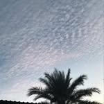 Jasmine Landeros - @jamine.landeros21 - Instagram