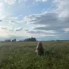 jasminelaughlin49 - @jasminelaughlin49 - TikTok