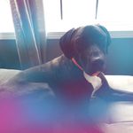 Jasmine Lockett - @jazzy_3789 - Instagram