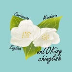 Jasmine Lok - @unloking_chinglish - Instagram