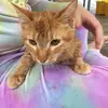 Jasmine_loyd8 - @katiethecat16 - TikTok