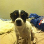 Jasmine Lyons - @animal__lover4892 - Instagram