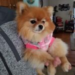 jasmine - @jasmine_mcadams0 - Instagram