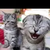 jasminemina - @imadisneyprincesss - TikTok