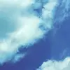 jasmine_mistry - @jasmine_mistry - TikTok