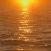 jasmine_mullins15 - @jasmine_mullins15 - TikTok