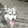 jasminemullins6060 - @jasminemullins6060 - TikTok