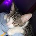 Jasmine Muniz - Facebook