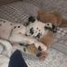 Jasmine Nicholson - Facebook