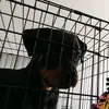 Jasmine Nicholson - @jasmine.nicholson698 - TikTok