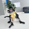 Jazmin Padron - @spidermonkeymeli - TikTok