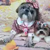 jasminepatten5 - @jasminepatten5 - TikTok