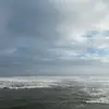 jasmine - @jasmine_peck - TikTok