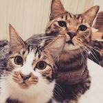 @jasmine__pike__jpjp - Instagram