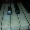 Lilly - @jasminepianoplayer - TikTok
