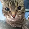 Jasmine - @jasmineprado124 - TikTok