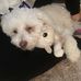 Jasmine Pringle - Facebook
