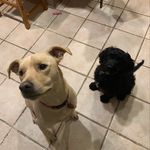 Lili and Jasmine Ramey - @liliandjasmineramey - Instagram