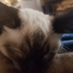 Jasmine Randall - @jasmine.randall.1840 - Instagram