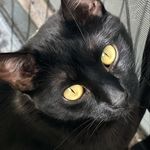 jazz - @jasmine__ring - Instagram