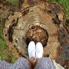 jasmine.roach - @jasmine.roach - TikTok