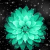 Jasmine Robbins - @jazminjazmin12123 - TikTok
