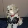 Jasmine Rush - @jasmine.rush6 - TikTok