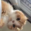 Jasmin Saenz - @jasmin.saenz - TikTok