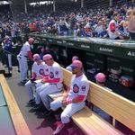 Cubs_fan_page - @jasmine_seitz - Instagram