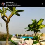 Jasmine Shankhwar - @jasmineshankhwar - Instagram