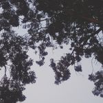 jasmine.shearer10 - @jasmine.shearer10 - Instagram