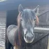 jasmine 🤍 - @jasmine.singleton1 - TikTok