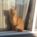Jazmine Skinner - Facebook