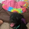 Jasmine Small - @thebestui0 - TikTok