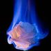 Jasmine Snider - Facebook