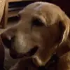 jasminespeller190 - @jasminespeller190 - TikTok