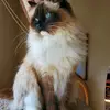 jasmine - @jasminesweetjazzy2017 - TikTok