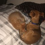 Jasmine And Sylvester - @jazzandsylvester - Instagram