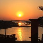Jasmin Thiel - @biene8279 - Instagram