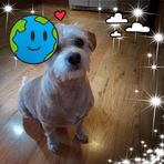 Jasmine Thiel - Facebook