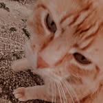 Jasmin Vogel - @ichbinsehrlostokdanke - Instagram