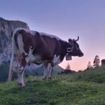 Jasmin Vogel - @win.teregg - Instagram