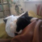 jasmin vogel - @vogel727 - Instagram