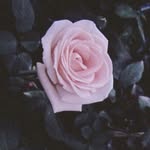 Jasmin Vogel - @jasm.n_v - Instagram