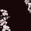 Jasmine Welch - @jasmine.welch23 - TikTok